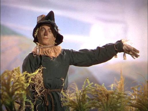 Did The Scarecrow Accidentally Light Himself On Fire During The Filming 