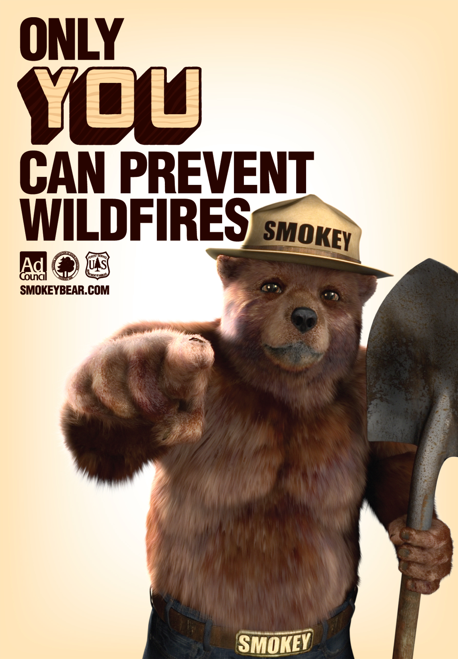 Image result for smokey the bear