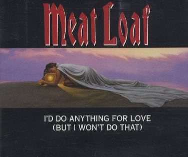What Is That In The Meatloaf Song I D Do Anything For Love But