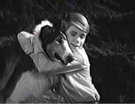 Lassie' star Jon Provost says Timmy was never trapped in a well: 'We just  don't know where that came from