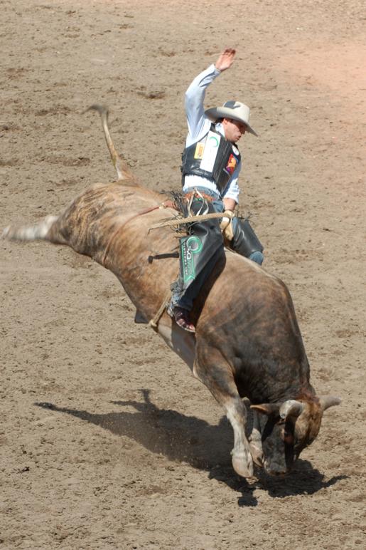bull-riding2-szmurlo
